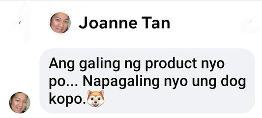 Joanne Tan's testimony about how NanoSilver helped her Chihuahua recover from leptospirosis