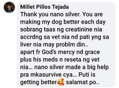 Pet owner testimonial about dog with kidney health issues showing improvement after using NanoSilver supplement