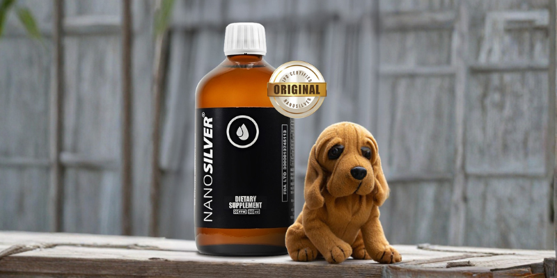 Learn to Keep Your Pets Healthy in 10 Minutes a Day