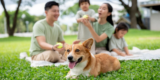 Filipino family using Nano Silver Original for home health care - FDA approved antimicrobial solution for wounds, first aid, and pet care in the Philippines