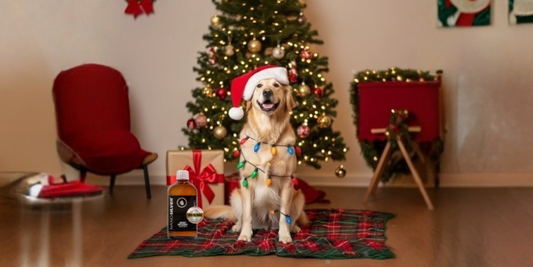 Nano Silver Original, Holiday Pet Safety: Natural Ways to Boost Immunity