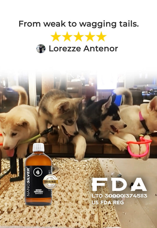 Healthy puppies after surviving parvo - customer testimonial from Lorezze Antenor