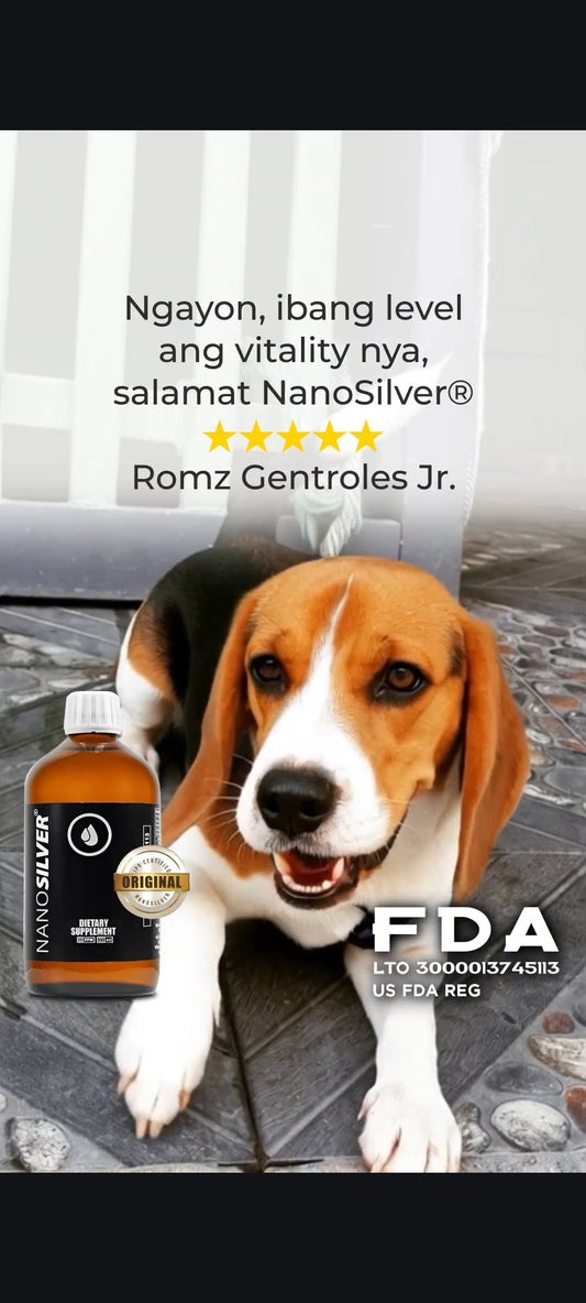 Happy beagle dog with NanoSilver Original product - Customer testimonial from Romz Gentroles Jr. showing 5-star review for improved vitality