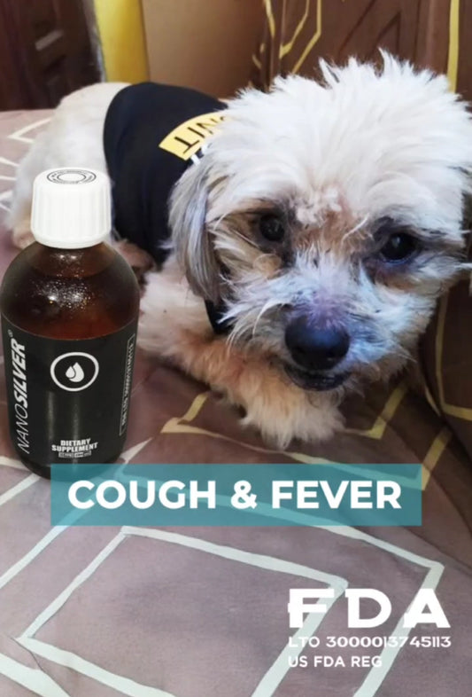 Nano Silver, Colds and Coughs in Dogs: Understanding Respiratory Wellness