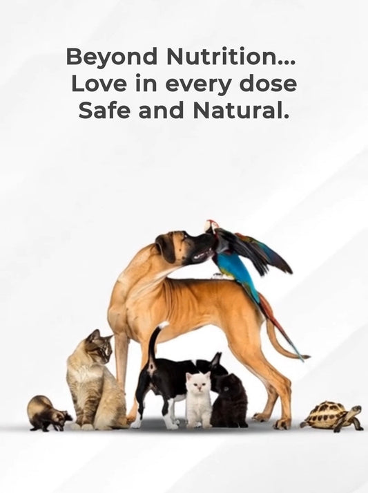 New puppy and kitten with essential health supplies - complete checklist for Filipino pet owners