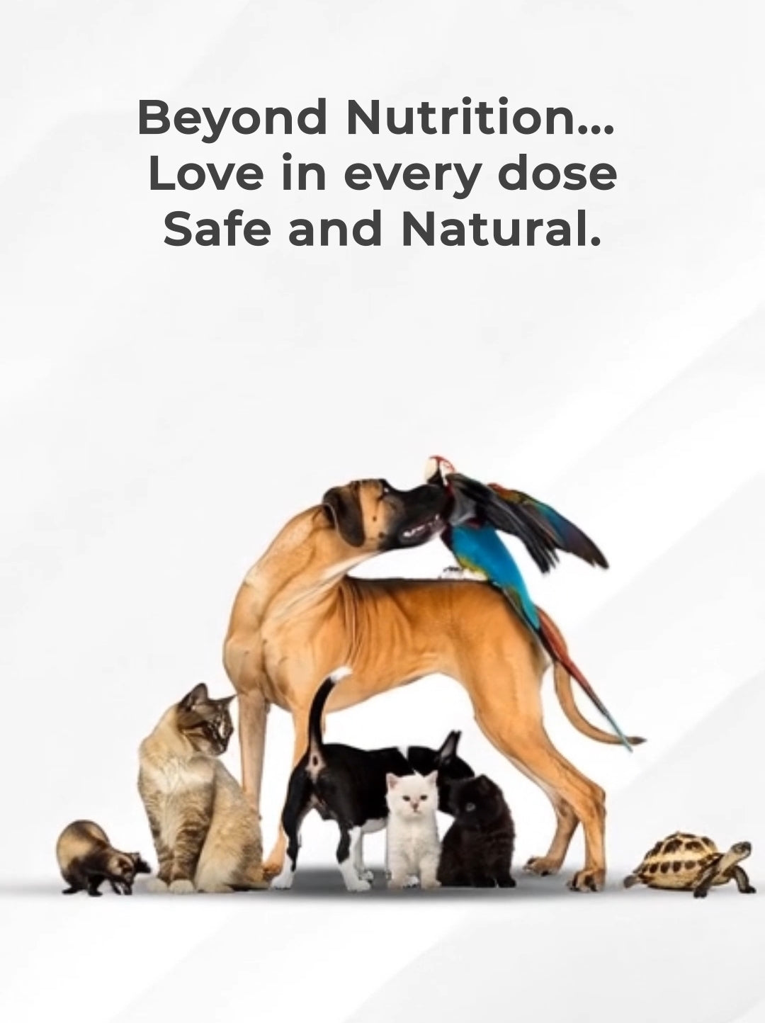 Beyond Nutrition , Love in every Nano Silver dose